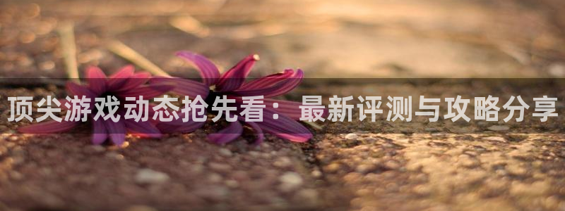 奇亿娱乐手机网页版登录：顶尖游戏动态抢先看：最新评测与攻略分