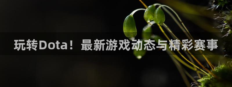 奇亿娱乐app下载|下载地址：玩转Dota！最新游戏动态与精