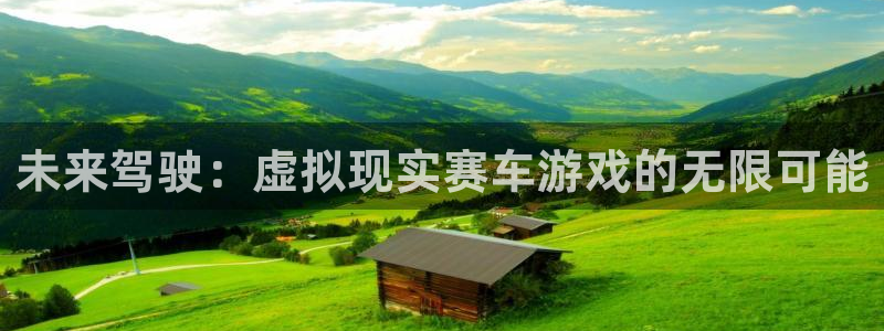 奇亿娱乐4开户：未来驾驶：虚拟现实赛车游戏的无限可能