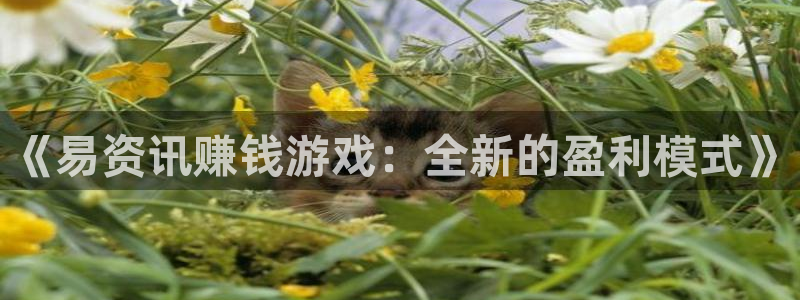 奇亿娱乐升级5994月：《易资讯赚钱游戏：全新的盈利模式》