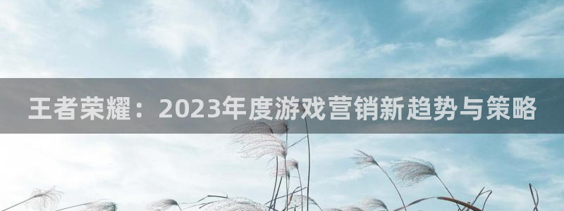 奇亿娱乐咨询：王者荣耀：2023年度游戏营销新趋势与策略