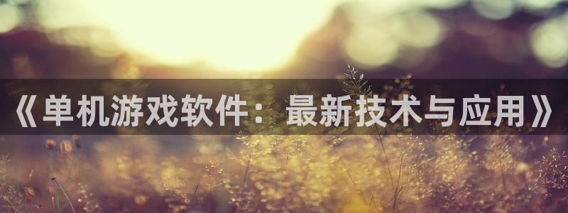 奇亿娱乐平台官网登录：《单机游戏软件：最新技术与应用》