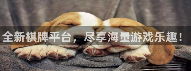 奇亿娱乐app下载地址